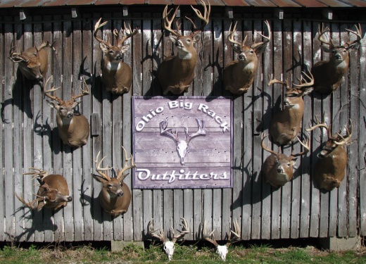 Ohio Big Rack Outfitters